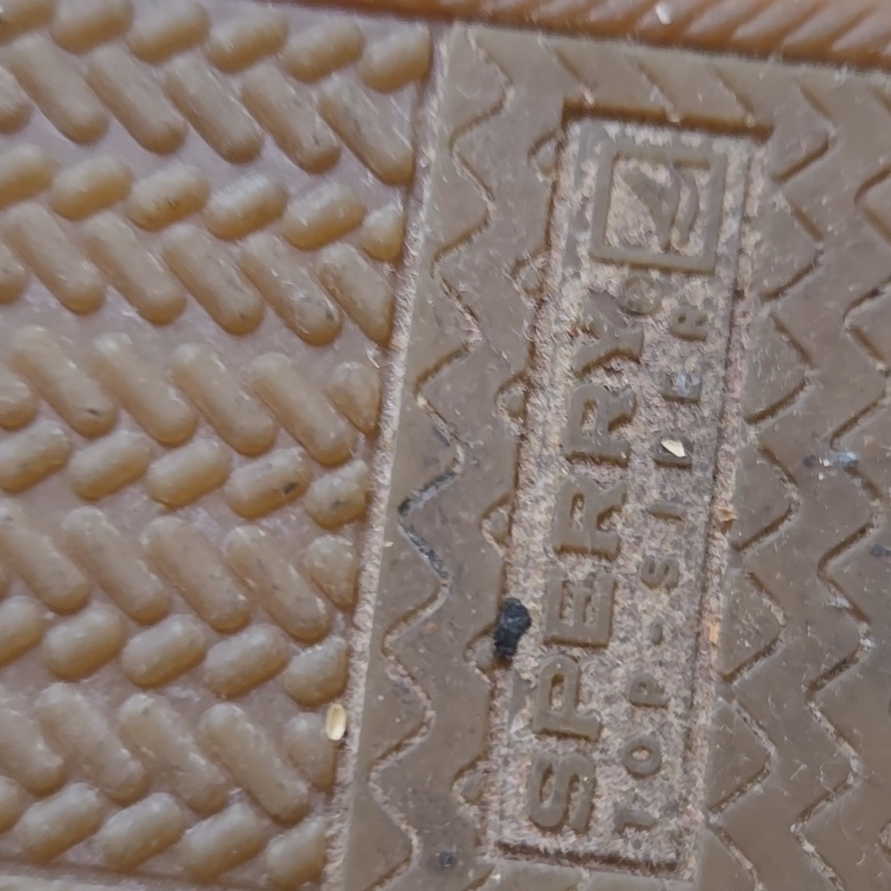 Sperry Espadrilles size 9 beige, lime green and neon details. Super Comfy!! - Picture 8 of 9